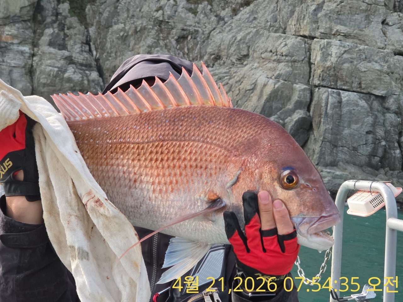 ����ڰ� �ø� �̹���