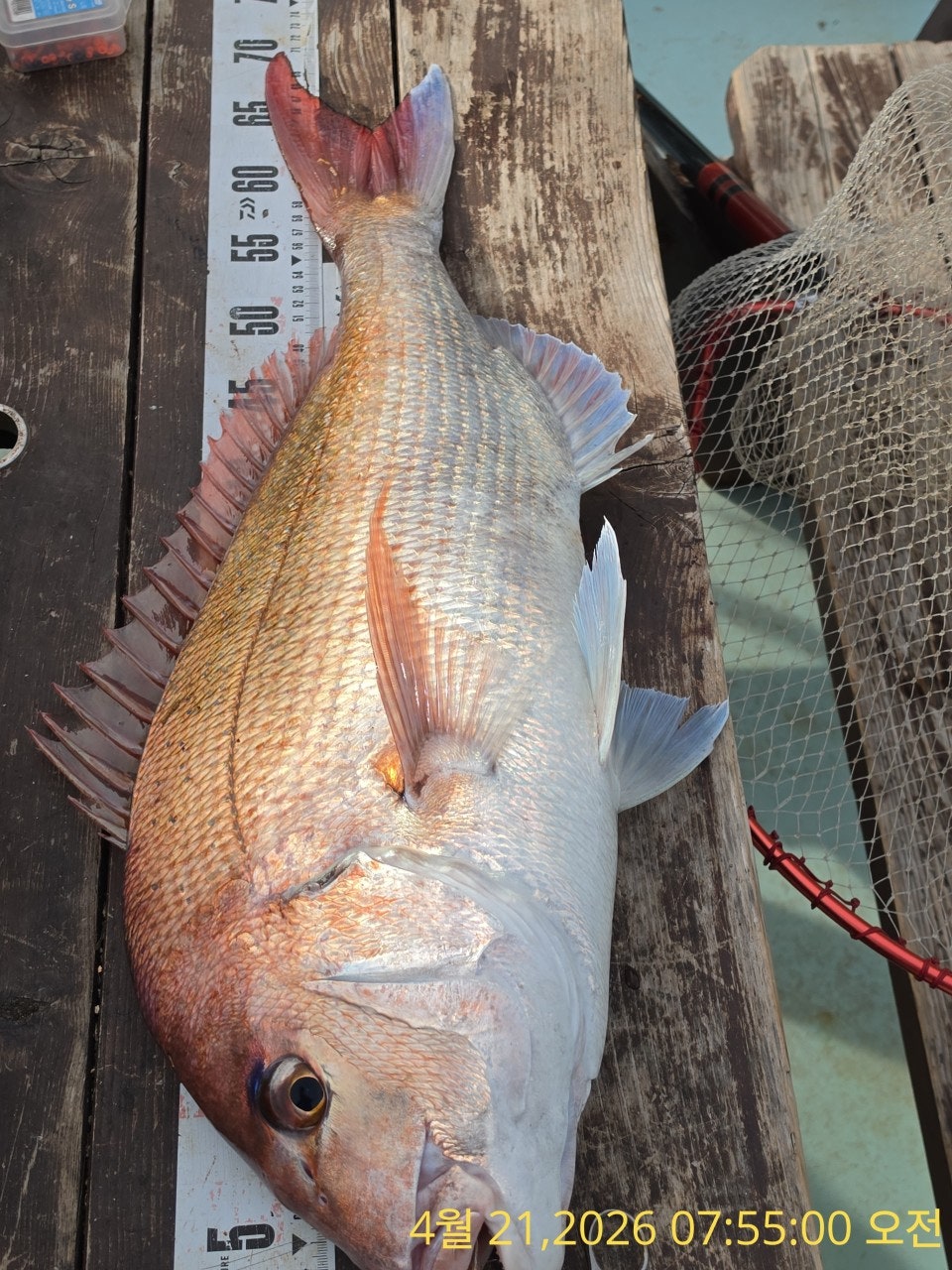 ����ڰ� �ø� �̹���