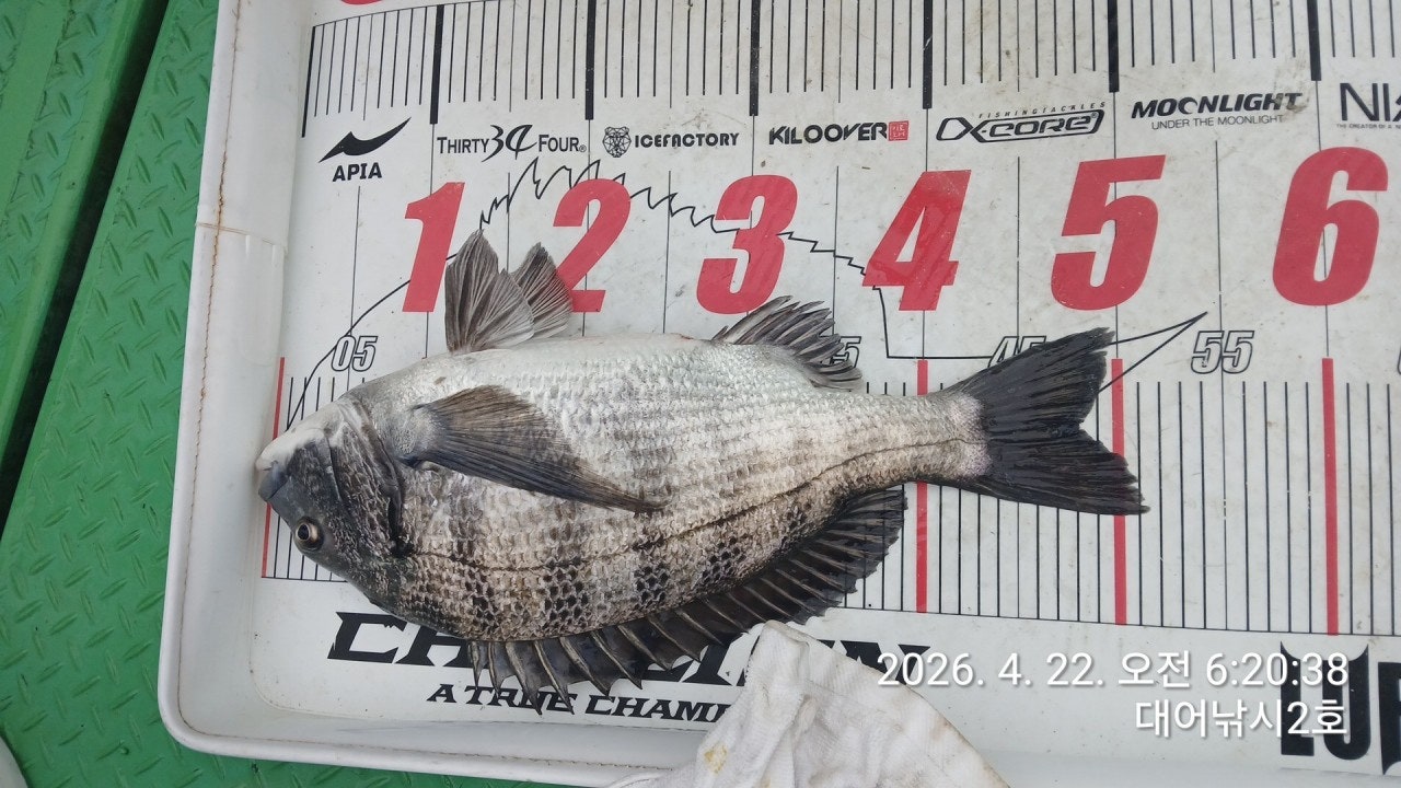 ����ڰ� �ø� �̹���