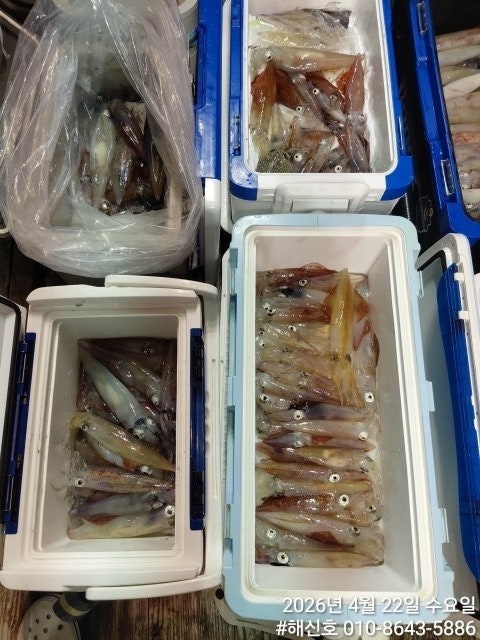 ����ڰ� �ø� �̹���