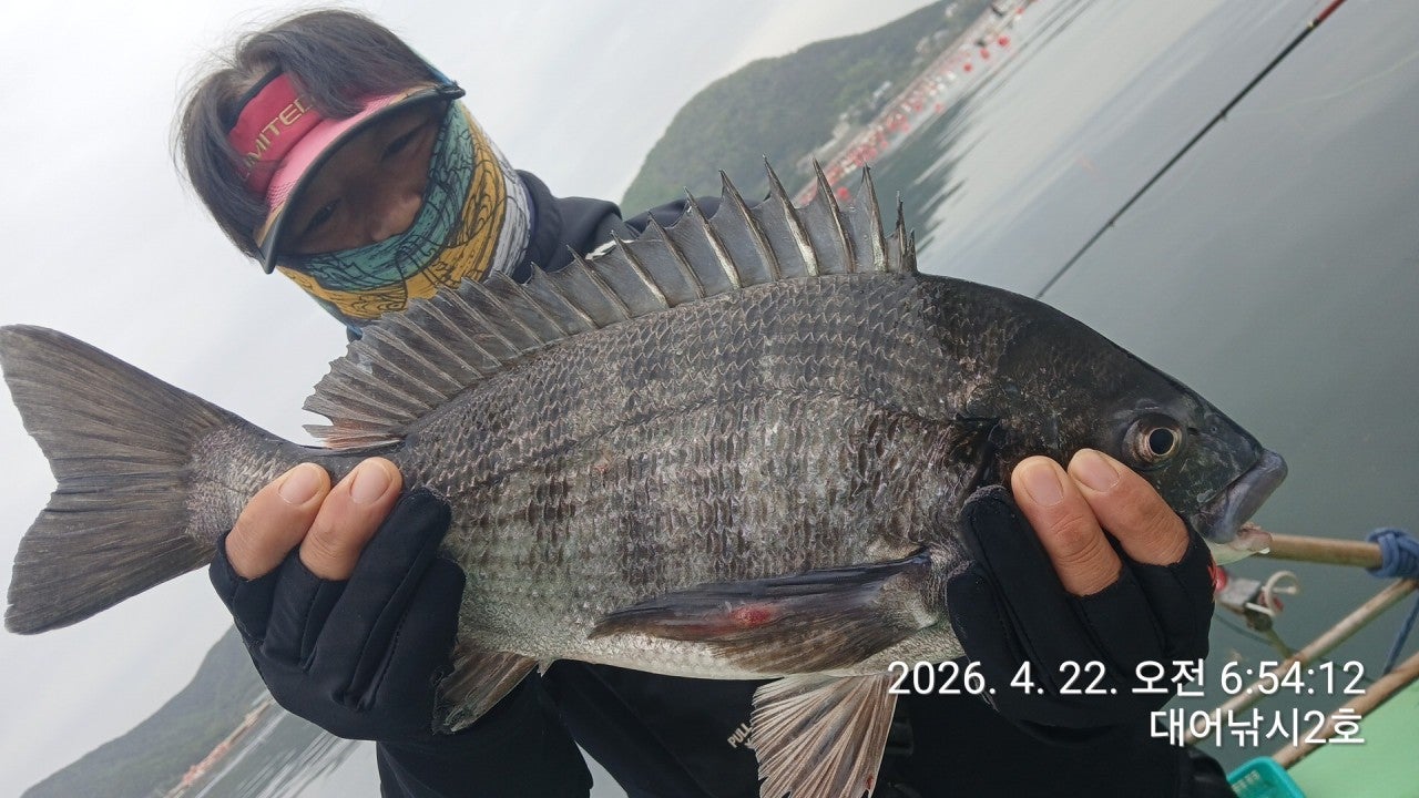 ����ڰ� �ø� �̹���