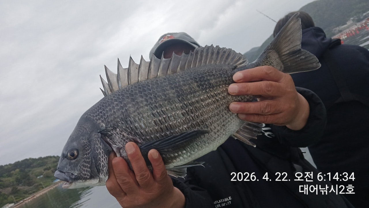 ����ڰ� �ø� �̹���