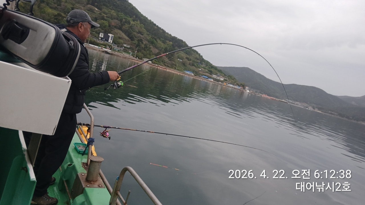 ����ڰ� �ø� �̹���