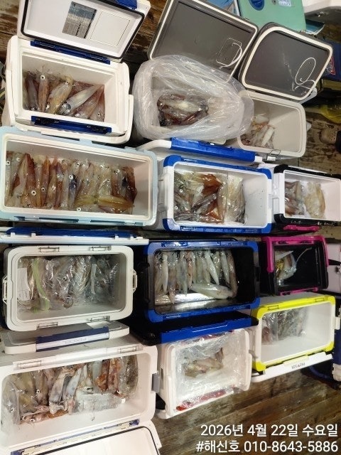 ����ڰ� �ø� �̹���