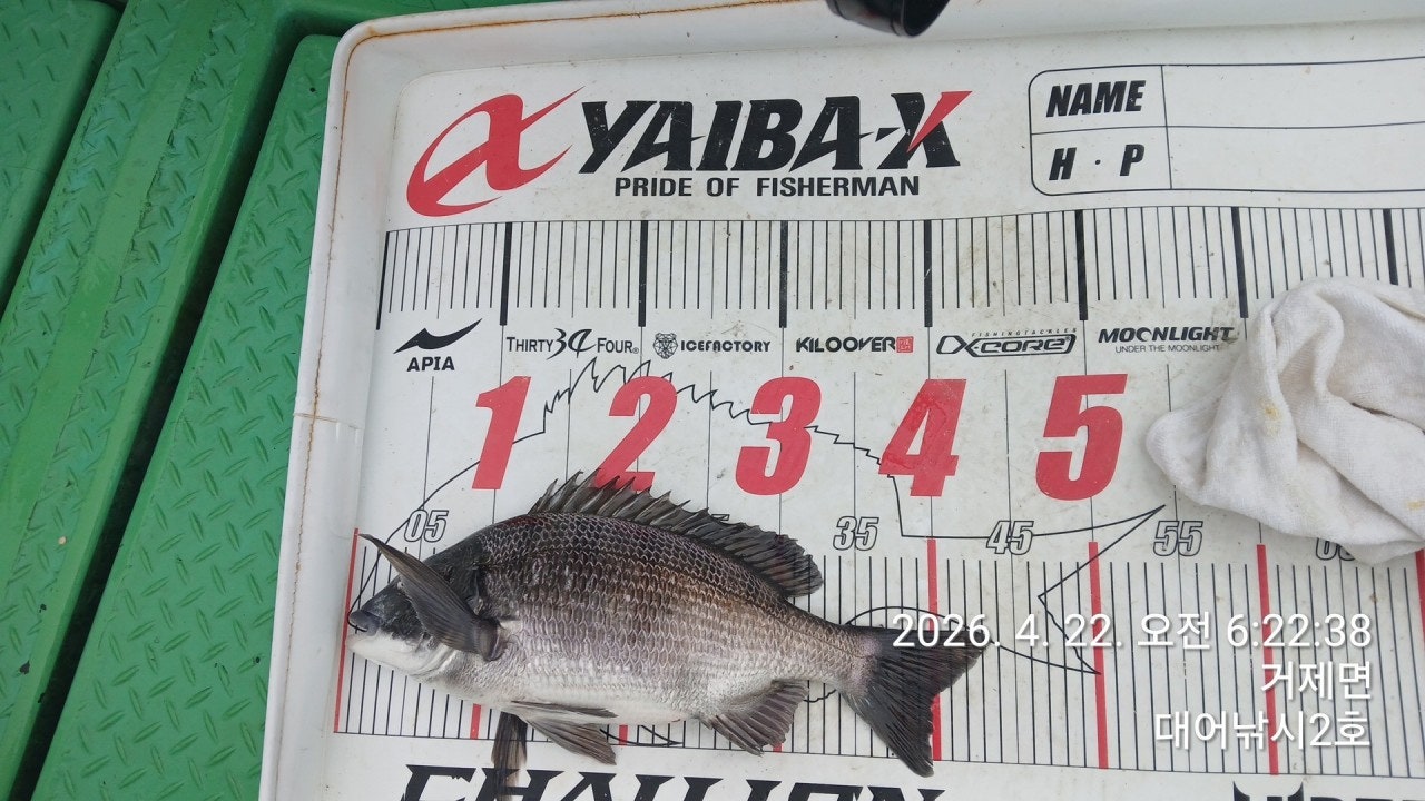 ����ڰ� �ø� �̹���