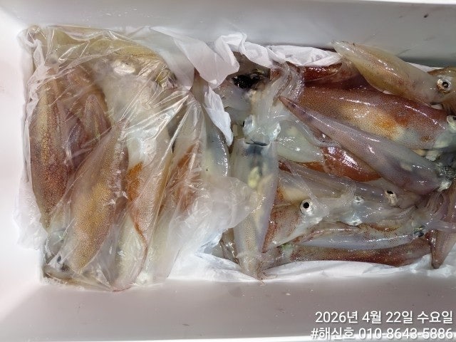 ����ڰ� �ø� �̹���