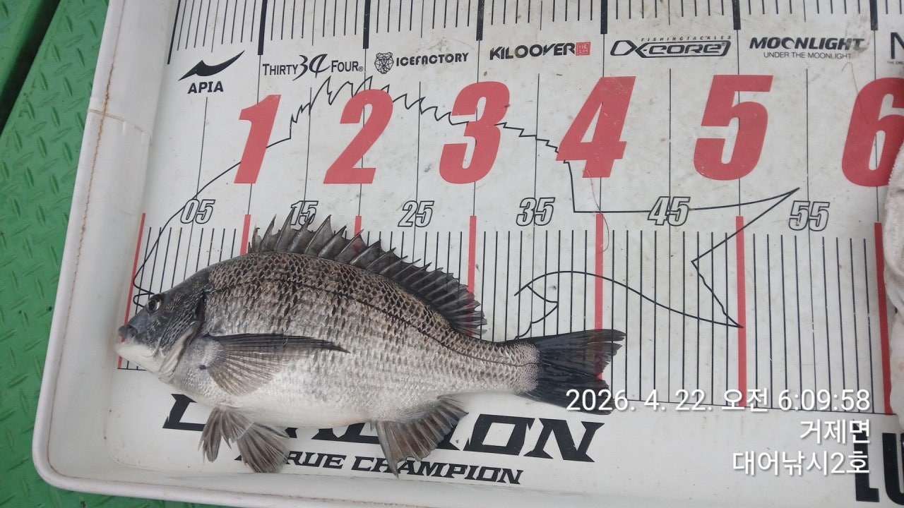 ����ڰ� �ø� �̹���