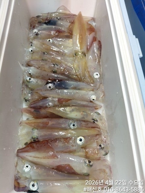 ����ڰ� �ø� �̹���