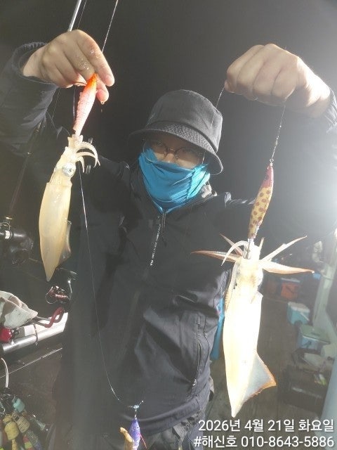 ����ڰ� �ø� �̹���