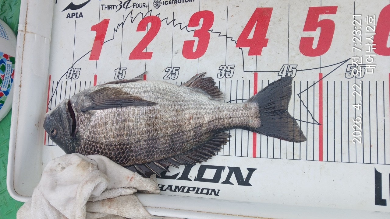 ����ڰ� �ø� �̹���