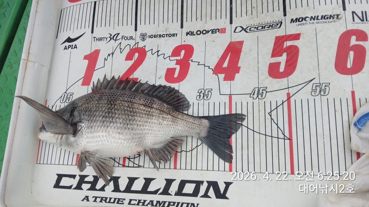 ����ڰ� �ø� �̹���