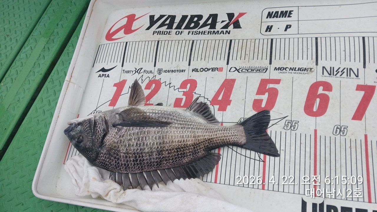 ����ڰ� �ø� �̹���