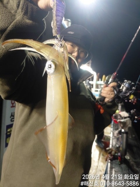 ����ڰ� �ø� �̹���