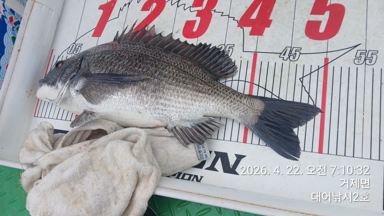 ����ڰ� �ø� �̹���