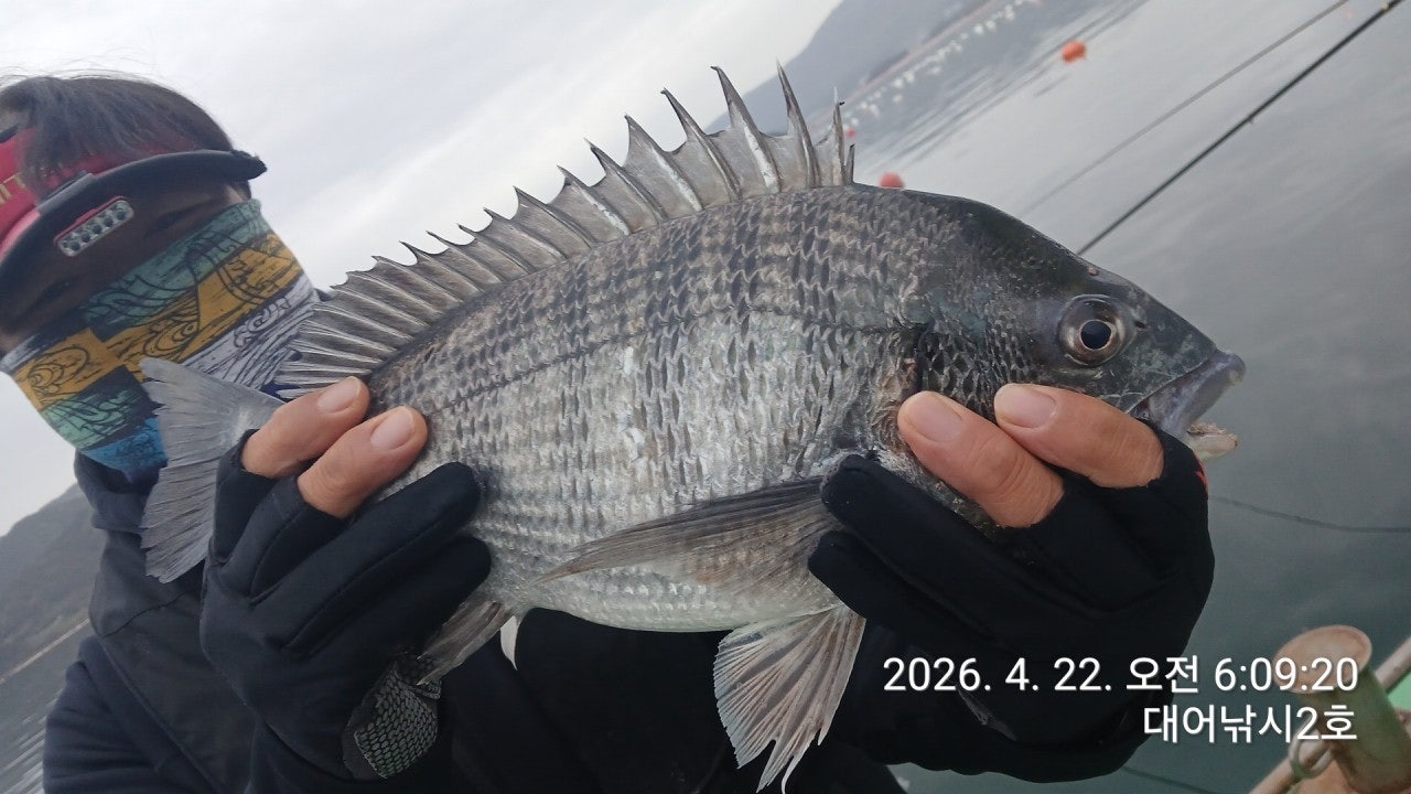 ����ڰ� �ø� �̹���