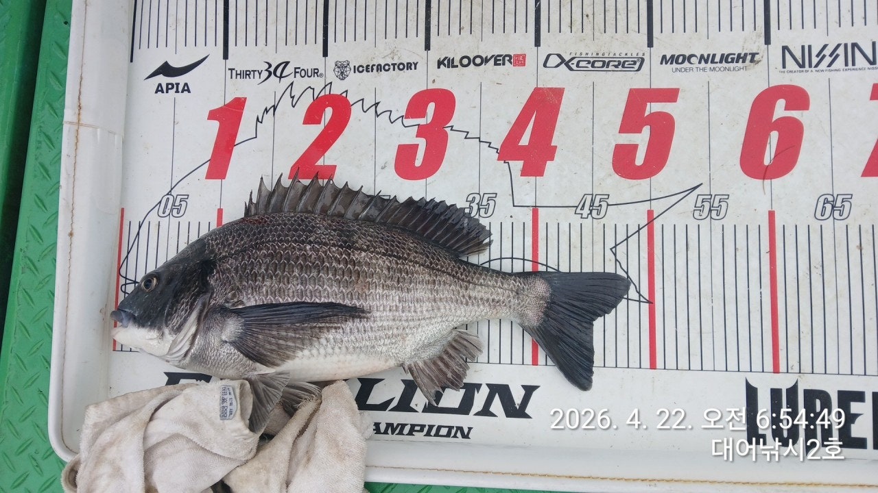 ����ڰ� �ø� �̹���