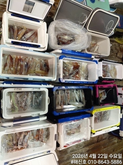 ����ڰ� �ø� �̹���