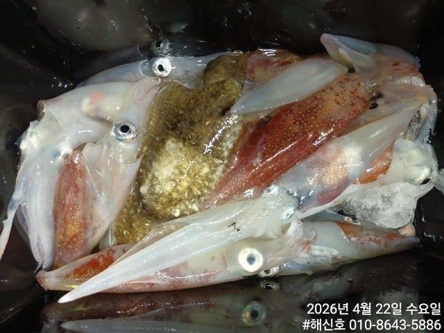 ����ڰ� �ø� �̹���