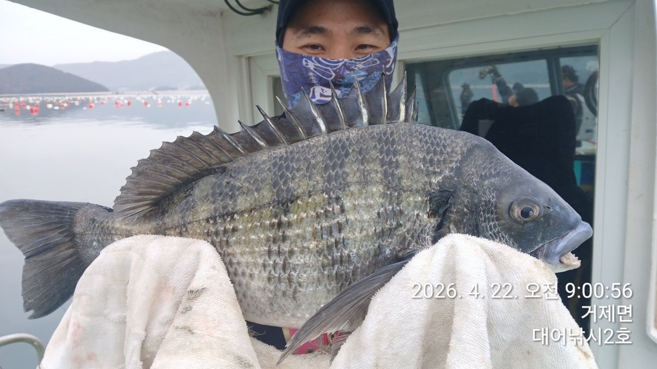 ����ڰ� �ø� �̹���