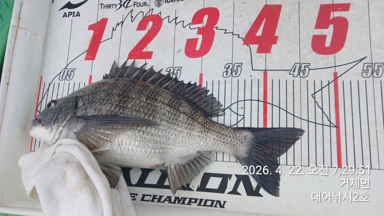 ����ڰ� �ø� �̹���