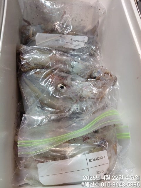 ����ڰ� �ø� �̹���