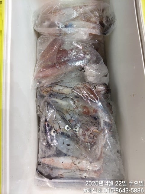 ����ڰ� �ø� �̹���