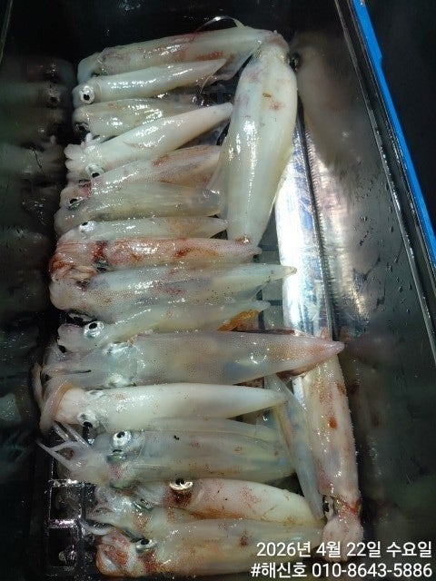 ����ڰ� �ø� �̹���