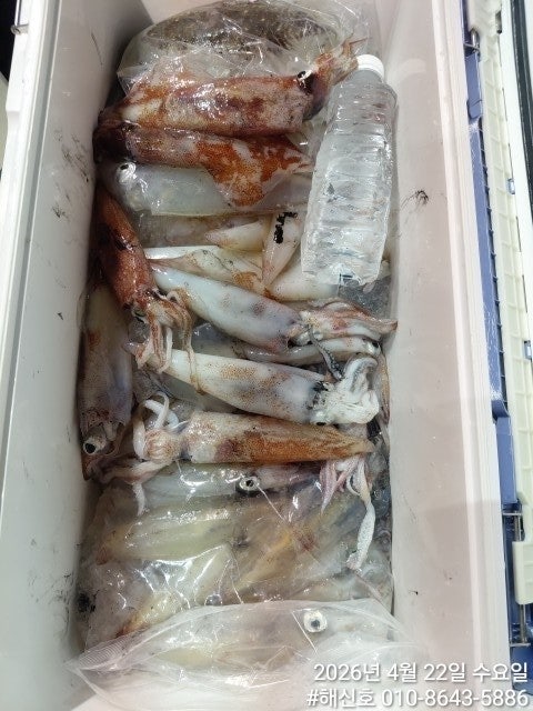 ����ڰ� �ø� �̹���