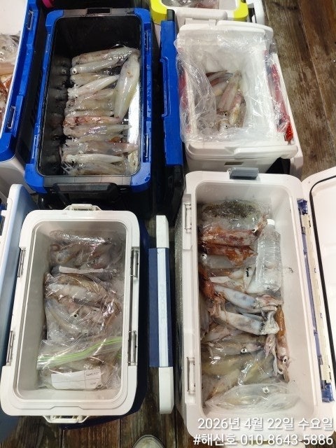 ����ڰ� �ø� �̹���