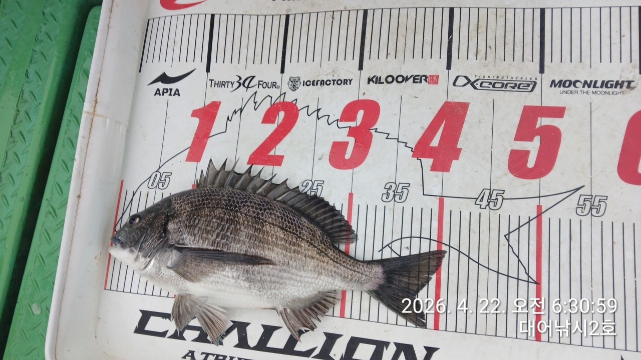 ����ڰ� �ø� �̹���