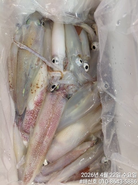 ����ڰ� �ø� �̹���