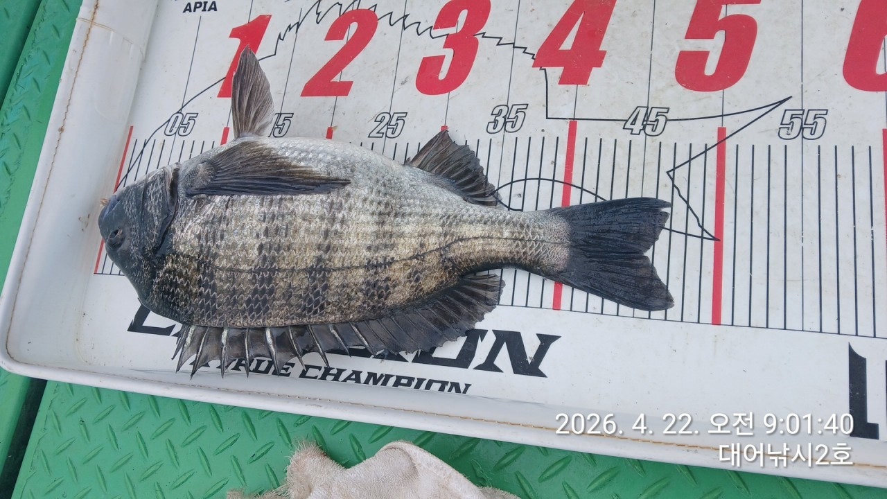 ����ڰ� �ø� �̹���