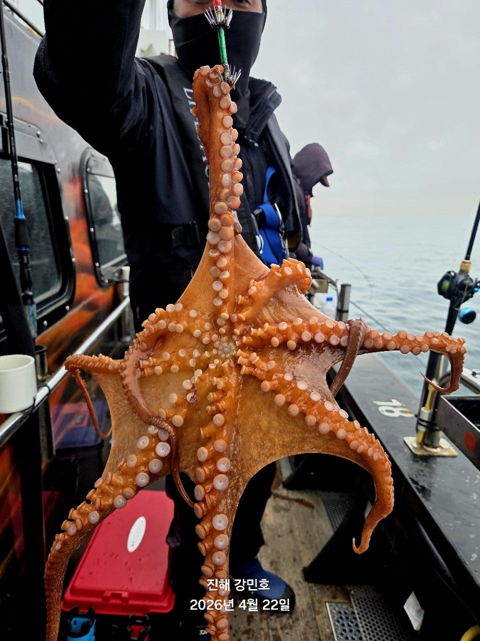 ����ڰ� �ø� �̹���