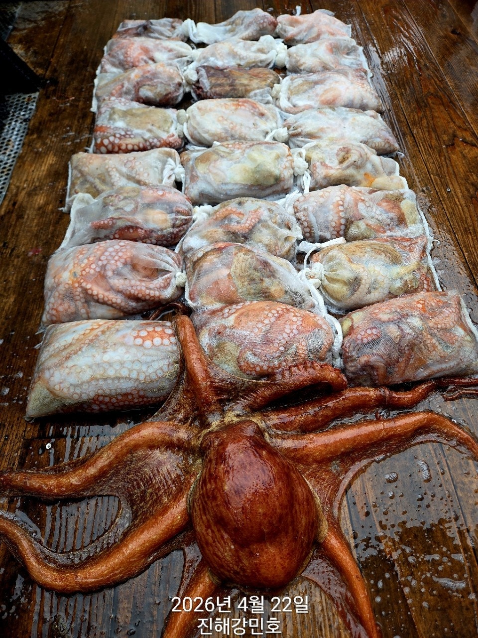 ����ڰ� �ø� �̹���