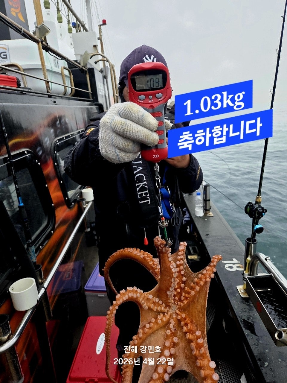 ����ڰ� �ø� �̹���