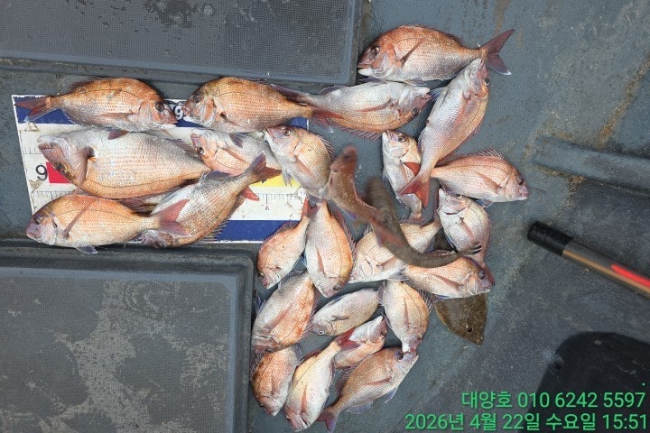 ����ڰ� �ø� �̹���