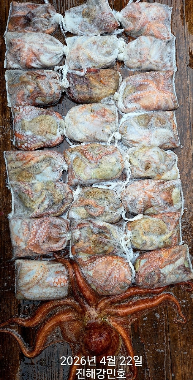 ����ڰ� �ø� �̹���