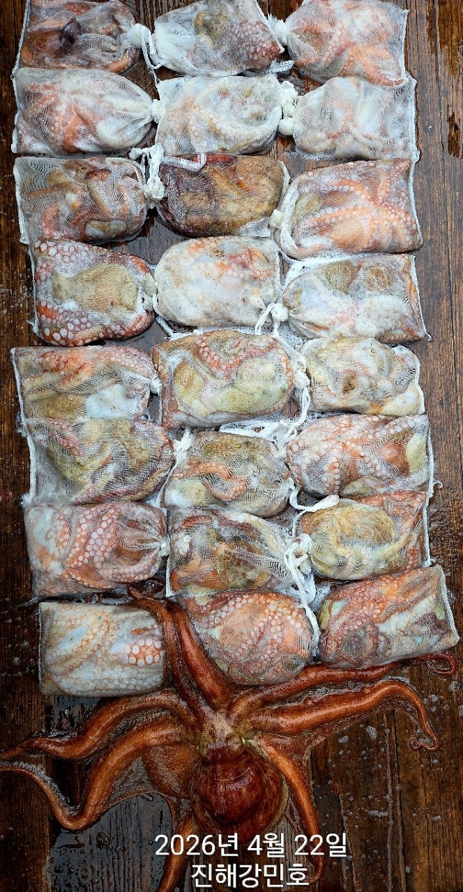 ����ڰ� �ø� �̹���