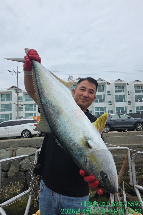 ����ڰ� �ø� �̹���