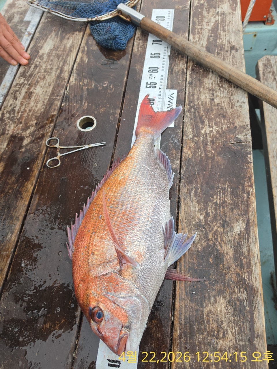 ����ڰ� �ø� �̹���