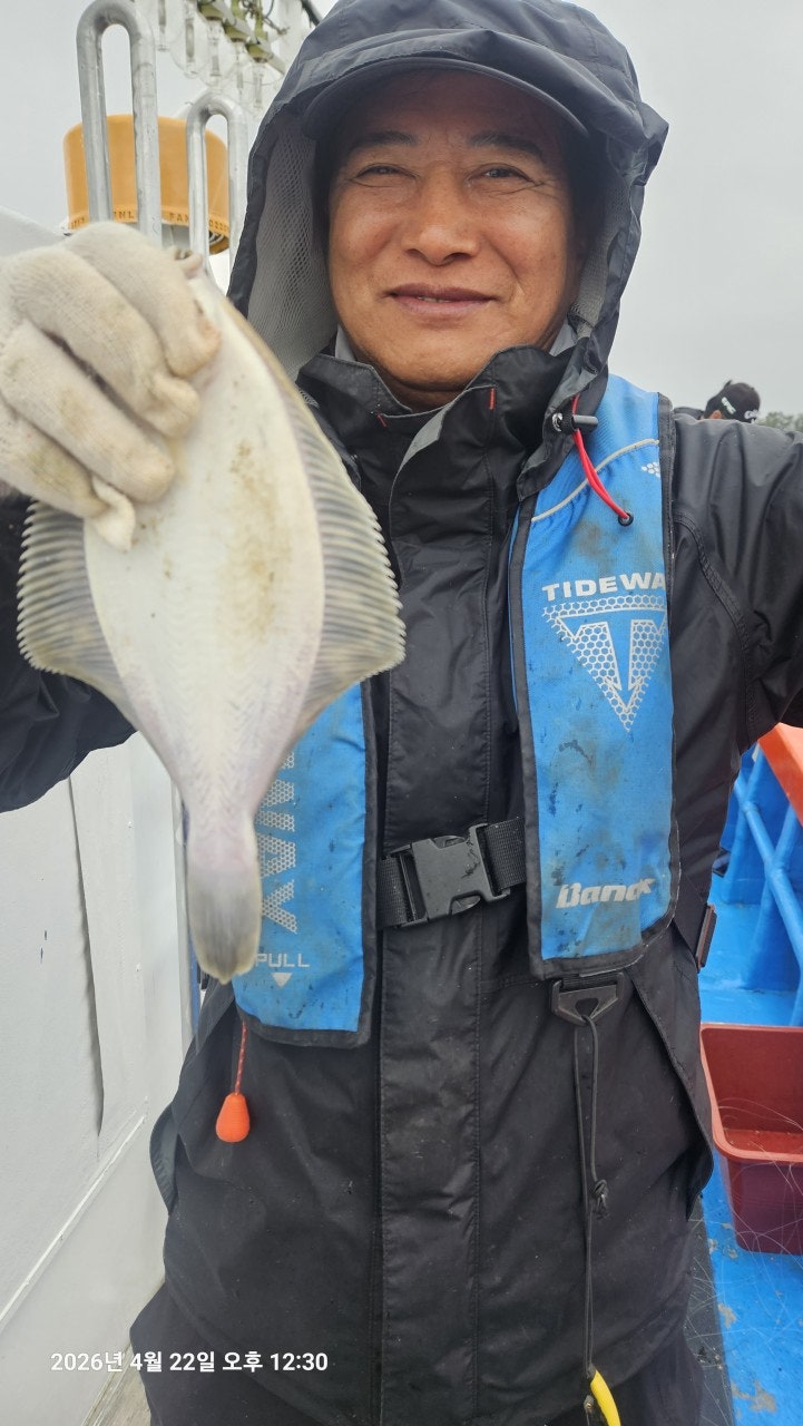 ����ڰ� �ø� �̹���