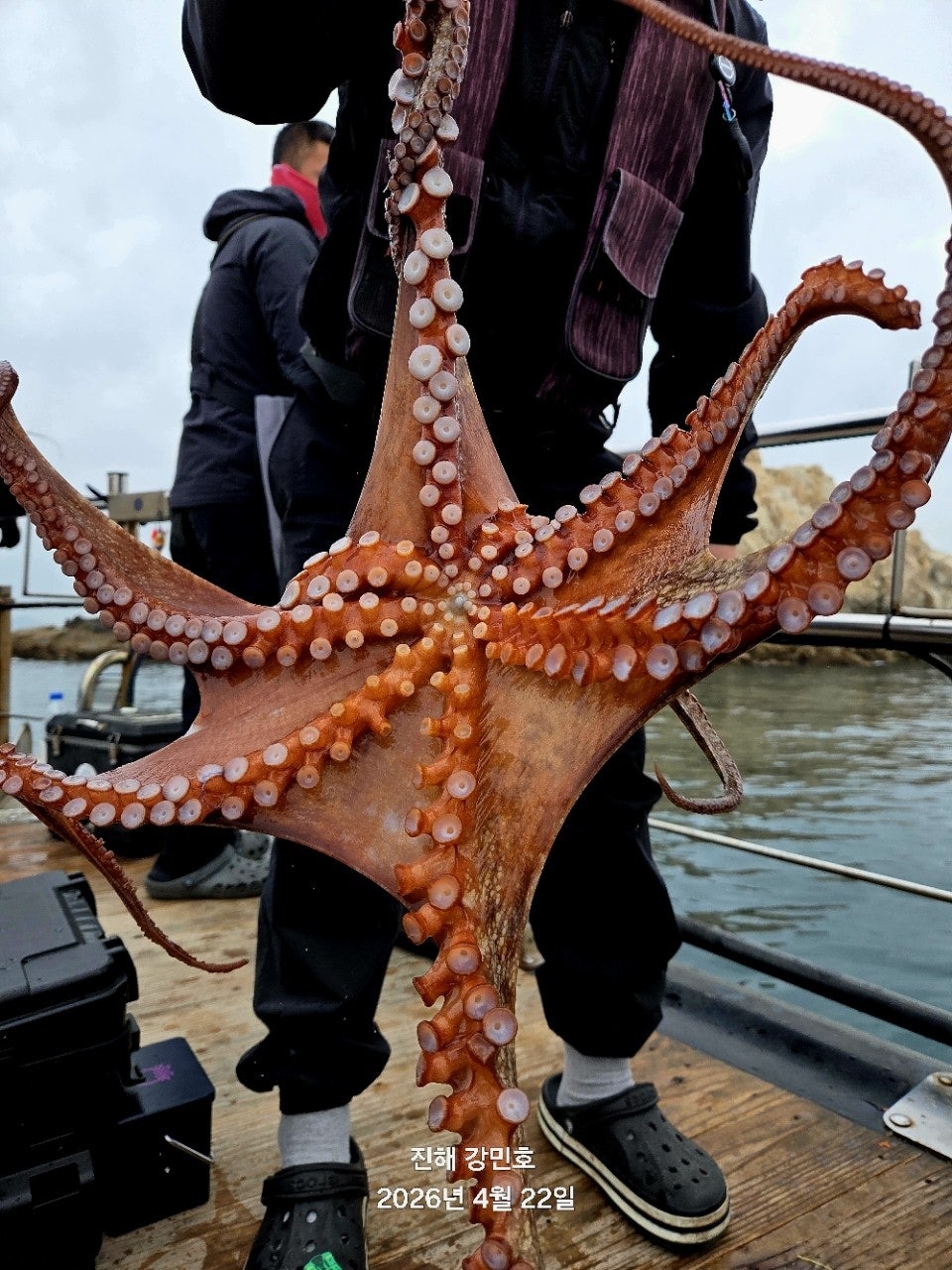 ����ڰ� �ø� �̹���