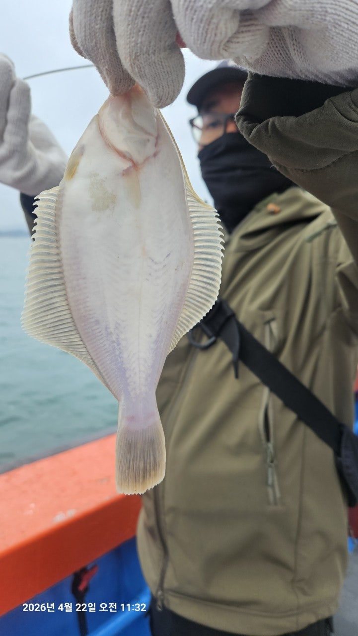 ����ڰ� �ø� �̹���