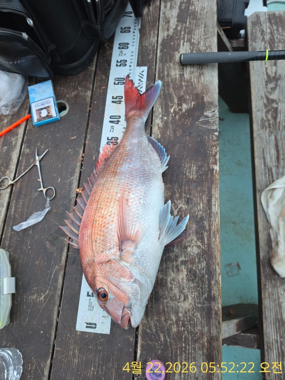 ����ڰ� �ø� �̹���