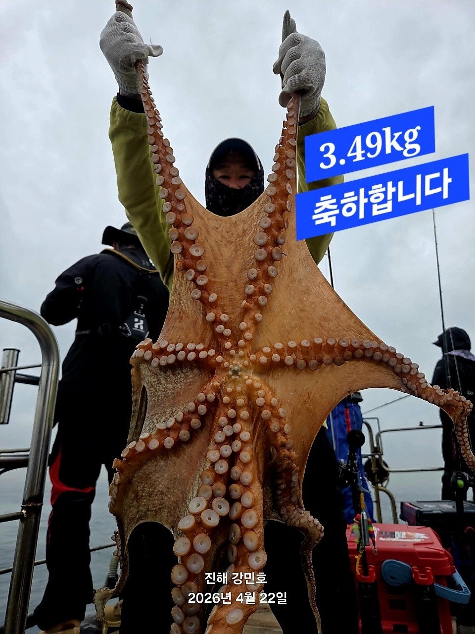 ����ڰ� �ø� �̹���