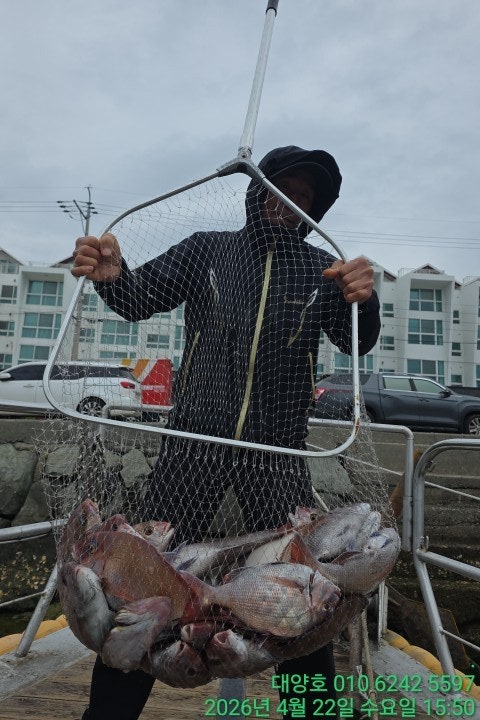 ����ڰ� �ø� �̹���