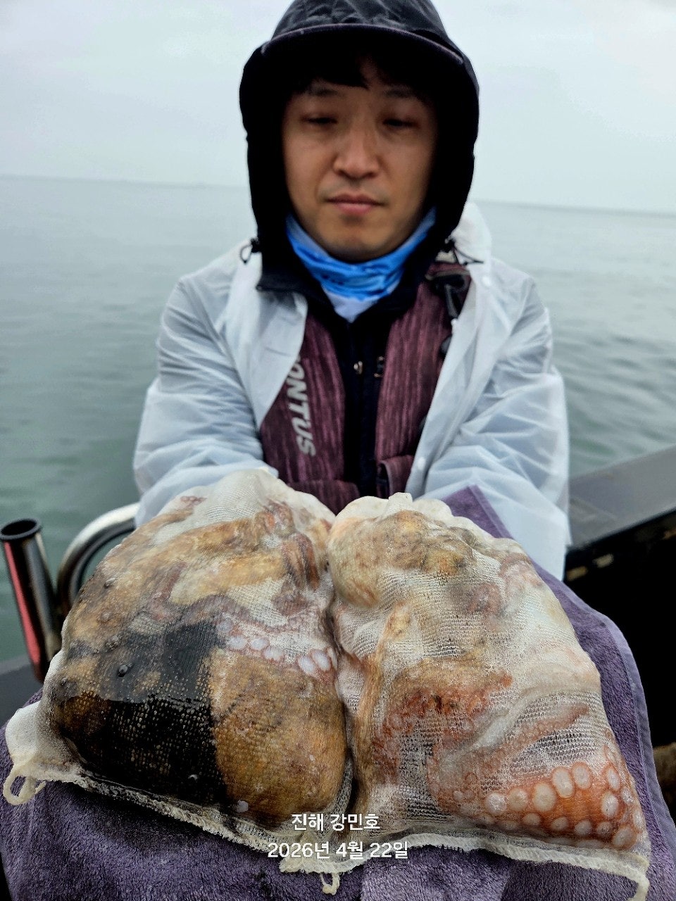 ����ڰ� �ø� �̹���