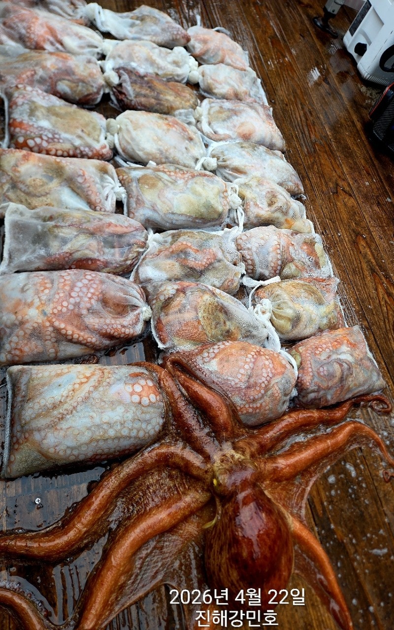 ����ڰ� �ø� �̹���