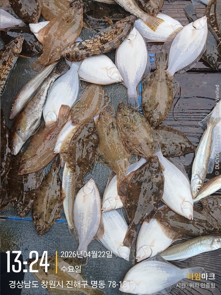 ����ڰ� �ø� �̹���