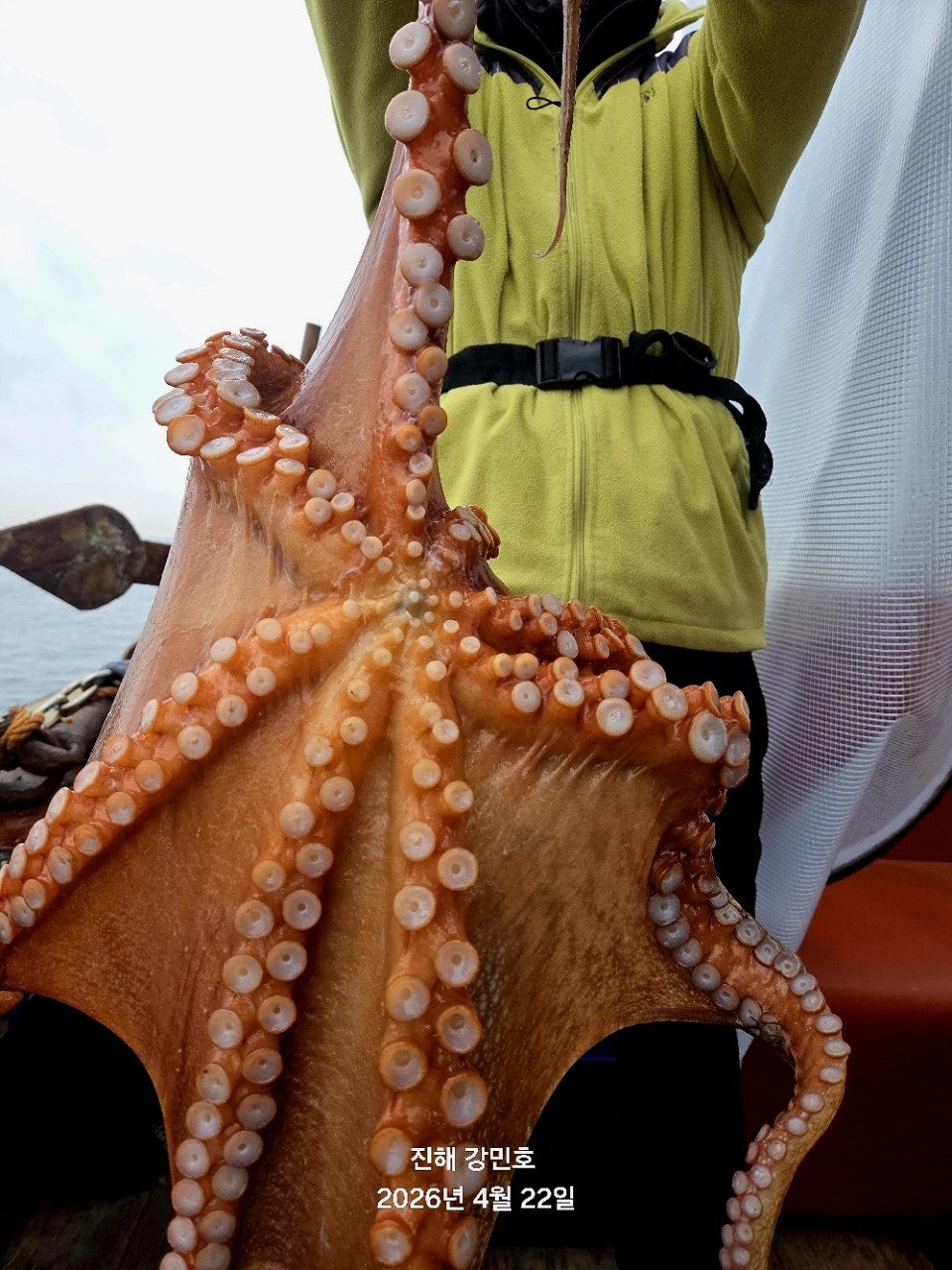 ����ڰ� �ø� �̹���